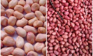 6 nhóm người nên hạn chế ăn lạc, nếu thấy có dấu hiệu này phải dừng ngay