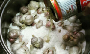 Cách làm tỏi đen với công dụng chữa bệnh tuyệt vời không hề khó !