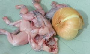 Cách chọn và làm thịt ếch đơn giản, gọn gàng và đảm bảo tại nhà!