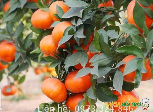 Cách phân biệt cam canh chuẩn với cam canh Trung Quốc !