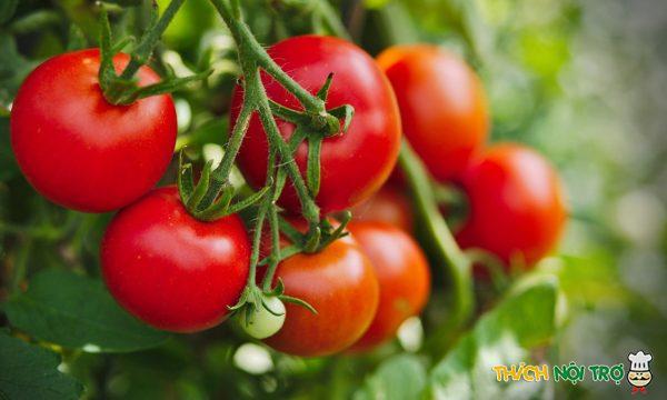 5 cách giảm cân bằng cà chua
